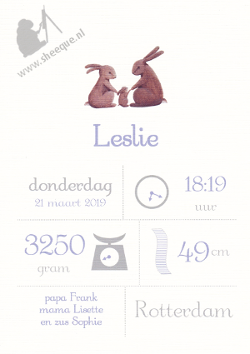 Geboorteposter
